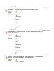 -ring-shaped nitrogenous base attaches to 1 carbon of deoxyribose. . Chapter 12 quizlet